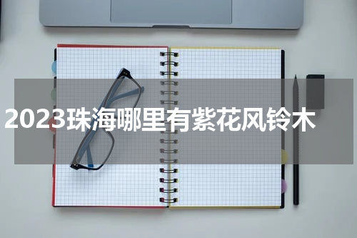 2023珠海哪里有紫花风铃木