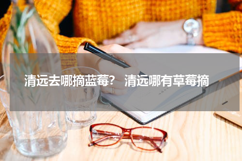 清远去哪摘蓝莓？ 清远哪有草莓摘