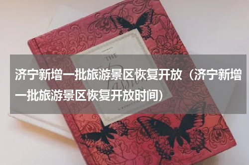 济宁新增一批旅游景区恢复开放（济宁新增一批旅游景区恢复开放时间）