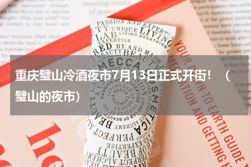 重庆璧山冷酒夜市7月13日正式开街！（璧山的夜市）