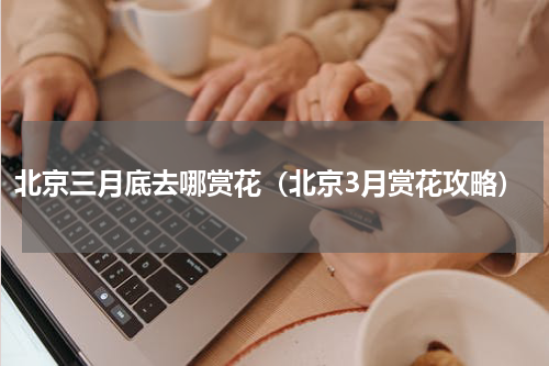 北京三月底去哪赏花（北京3月赏花攻略）