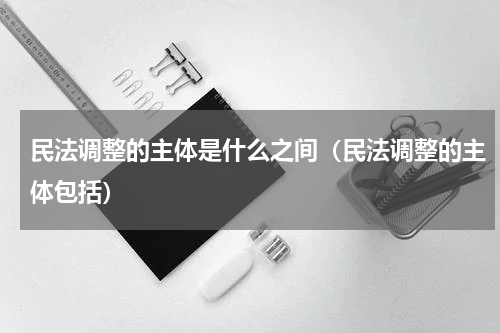民法调整的主体是什么之间（民法调整的主体包括）