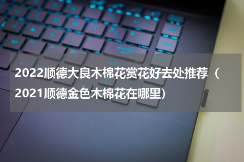 2022顺德大良木棉花赏花好去处推荐（2021顺德金色木棉花在哪里）
