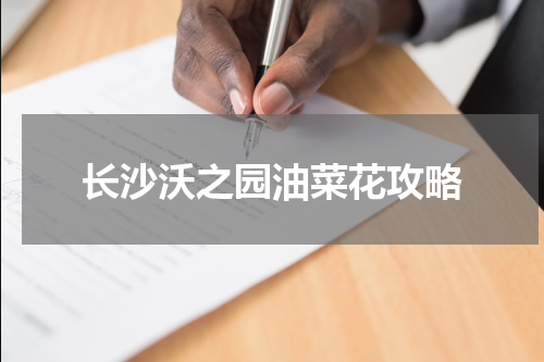 长沙沃之园油菜花攻略