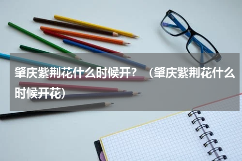 肇庆紫荆花什么时候开？（肇庆紫荆花什么时候开花）