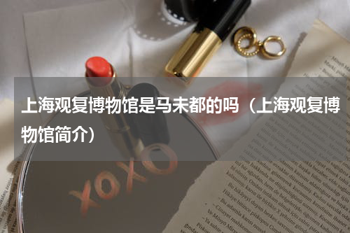 上海观复博物馆是马未都的吗（上海观复博物馆简介）