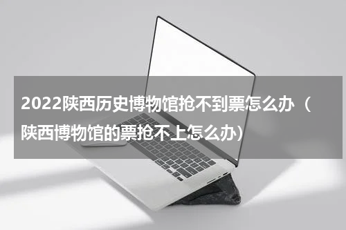 2022陕西历史博物馆抢不到票怎么办（陕西博物馆的票抢不上怎么办）