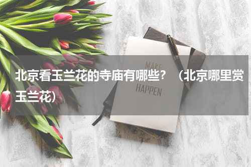 北京看玉兰花的寺庙有哪些？（北京哪里赏玉兰花）