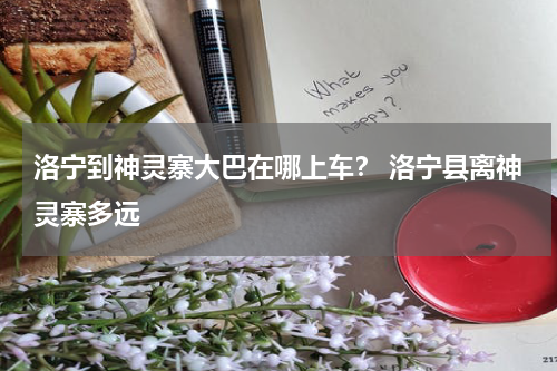 洛宁到神灵寨大巴在哪上车？ 洛宁县离神灵寨多远