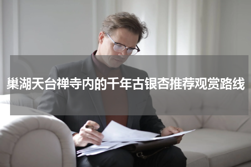 巢湖天台禅寺内的千年古银杏推荐观赏路线