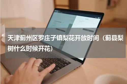 天津蓟州区罗庄子镇梨花开放时间（蓟县梨树什么时候开花）