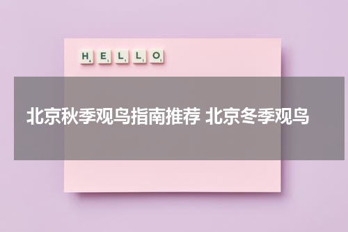 北京秋季观鸟指南推荐 北京冬季观鸟