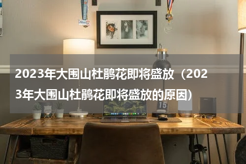 2023年大围山杜鹃花即将盛放（2023年大围山杜鹃花即将盛放的原因）