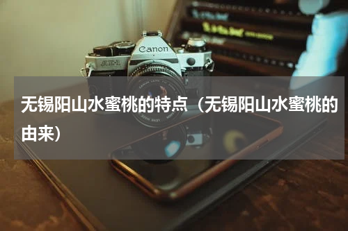 无锡阳山水蜜桃的特点（无锡阳山水蜜桃的由来）