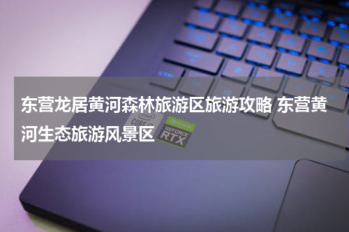 东营龙居黄河森林旅游区旅游攻略 东营黄河生态旅游风景区