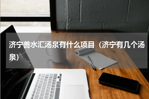 济宁善水汇汤泉有什么项目（济宁有几个汤泉）