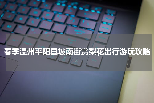 春季温州平阳县坡南街赏梨花出行游玩攻略
