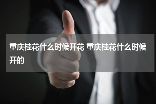 重庆桂花什么时候开花 重庆桂花什么时候开的