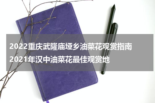 2022重庆武隆庙垭乡油菜花观赏指南 2021年汉中油菜花最佳观赏地