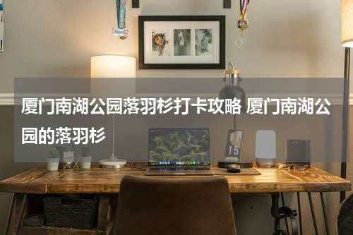 厦门南湖公园落羽杉打卡攻略 厦门南湖公园的落羽杉