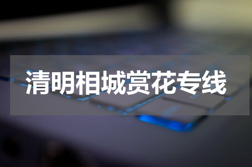 清明相城赏花专线