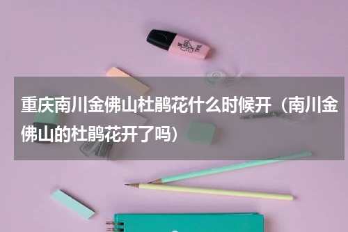 重庆南川金佛山杜鹃花什么时候开（南川金佛山的杜鹃花开了吗）