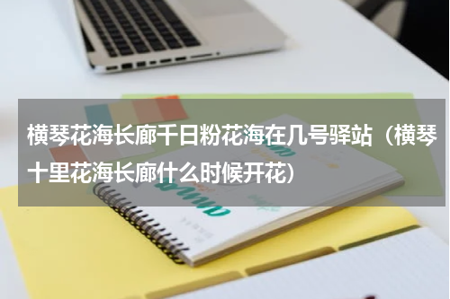 横琴花海长廊千日粉花海在几号驿站（横琴十里花海长廊什么时候开花）