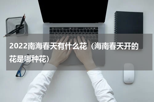 2022南海春天有什么花（海南春天开的花是哪种花）