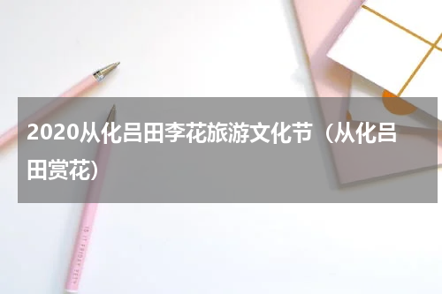 2020从化吕田李花旅游文化节（从化吕田赏花）