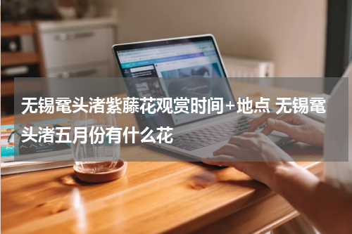 无锡鼋头渚紫藤花观赏时间+地点 无锡鼋头渚五月份有什么花