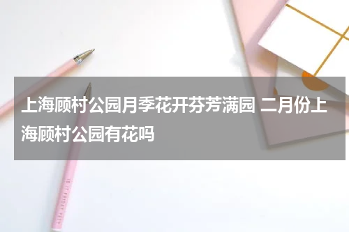 上海顾村公园月季花开芬芳满园 二月份上海顾村公园有花吗