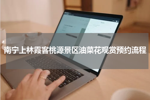 南宁上林霞客桃源景区油菜花观赏预约流程