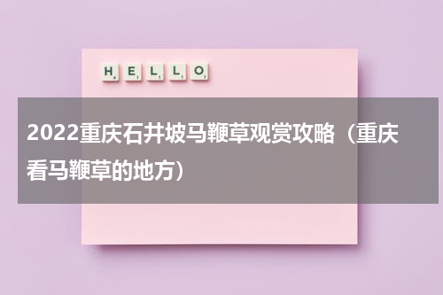 2022重庆石井坡马鞭草观赏攻略（重庆看马鞭草的地方）