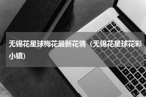 无锡花星球梅花最新花情（无锡花星球花彩小镇）