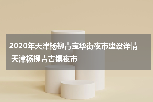 2020年天津杨柳青宝华街夜市建设详情 天津杨柳青古镇夜市