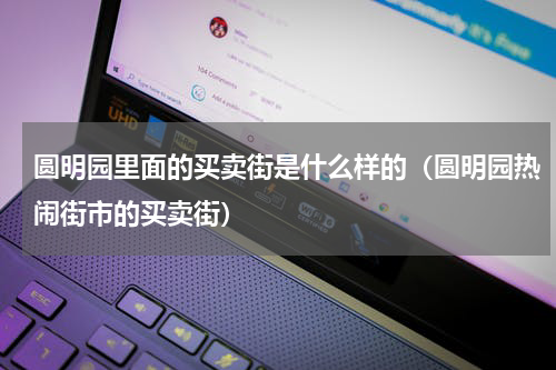 圆明园里面的买卖街是什么样的（圆明园热闹街市的买卖街）