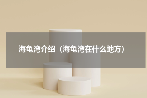 海龟湾介绍（海龟湾在什么地方）
