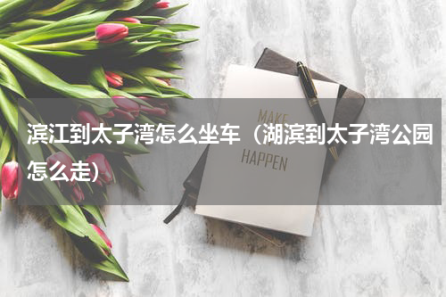 滨江到太子湾怎么坐车（湖滨到太子湾公园怎么走）