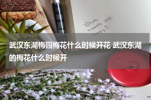 武汉东湖梅园梅花什么时候开花 武汉东湖的梅花什么时候开