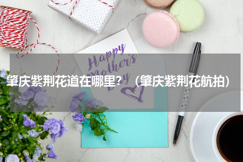 肇庆紫荆花道在哪里？（肇庆紫荆花航拍）