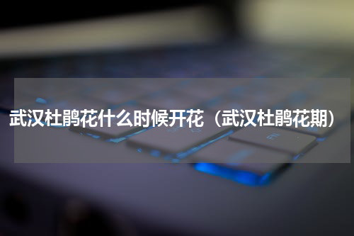 武汉杜鹃花什么时候开花（武汉杜鹃花期）
