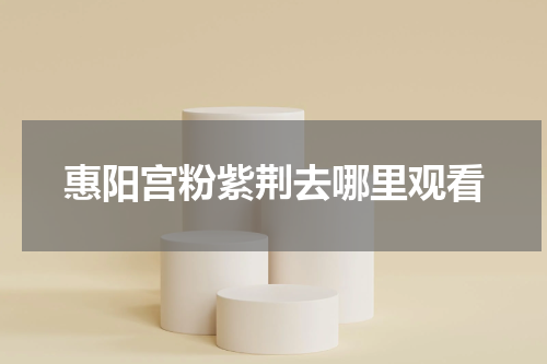 惠阳宫粉紫荆去哪里观看