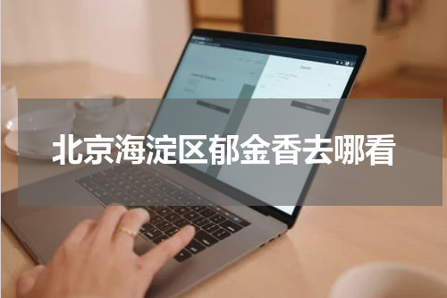 北京海淀区郁金香去哪看