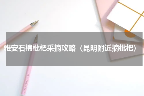 雅安石棉枇杷采摘攻略（昆明附近摘枇杷）