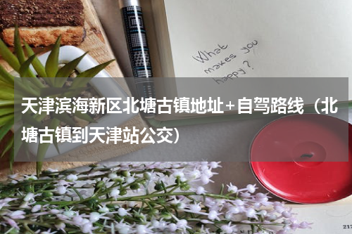 天津滨海新区北塘古镇地址+自驾路线（北塘古镇到天津站公交）