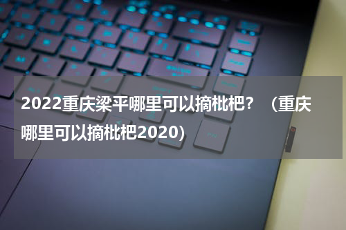 2022重庆梁平哪里可以摘枇杷？（重庆哪里可以摘枇杷2020）