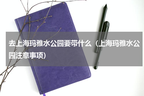 去上海玛雅水公园要带什么（上海玛雅水公园注意事项）