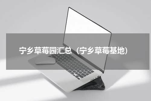 宁乡草莓园汇总（宁乡草莓基地）