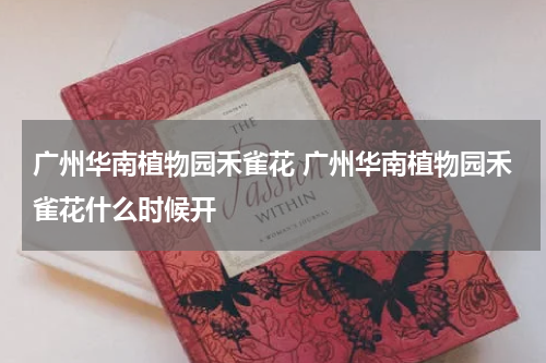 广州华南植物园禾雀花 广州华南植物园禾雀花什么时候开