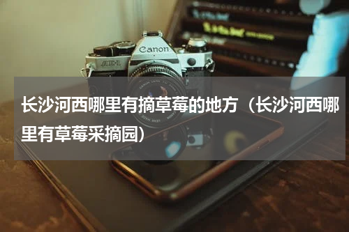 长沙河西哪里有摘草莓的地方（长沙河西哪里有草莓采摘园）